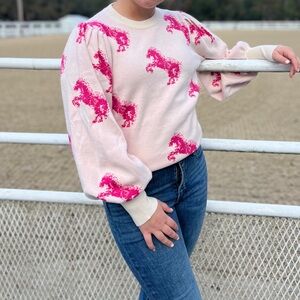 NWT Pink Horse Sweater